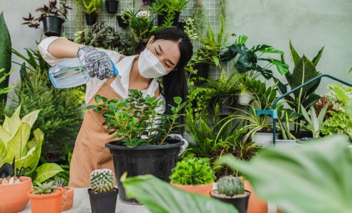 Tworzenie zielonego zakątka: Praktyczne porady dla miłośników roślin tarasowych