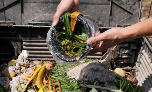 Poradnik kompostowania: Jak tworzyć i używać kompostu w swoim ogrodzie