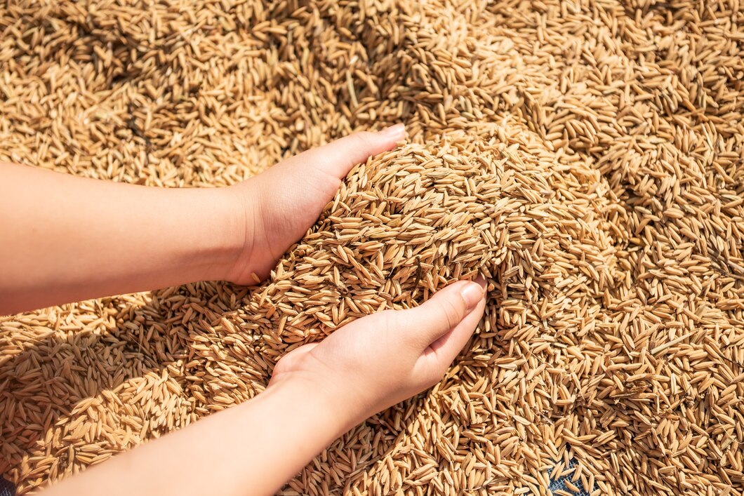 Przewodnik po wyborze i uprawie nasion zbóż na zimę – porady ekspertów